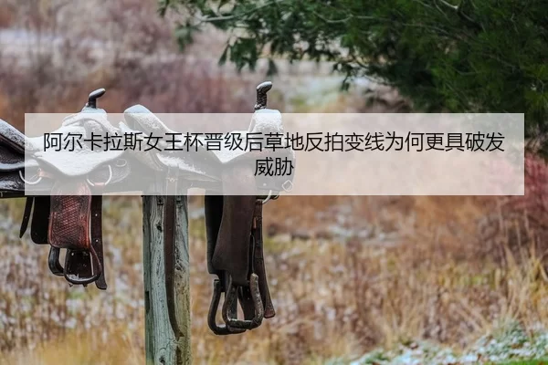 a-er-ka-la-si-nv-wang-bei-jin-ji-hou-cao-di-fan-pai-bian-xian-wei-he-geng-ju-po-fa-wei-xie-2-304.jpg