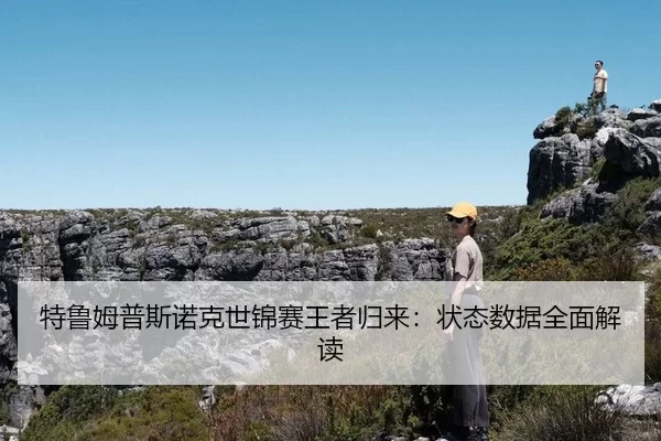 te-lu-mu-pu-si-nuo-ke-shi-jin-sai-wang-zhe-gui-lai-zhuang-tai-shu-ju-quan-mian-jie-du-3-745.jpg