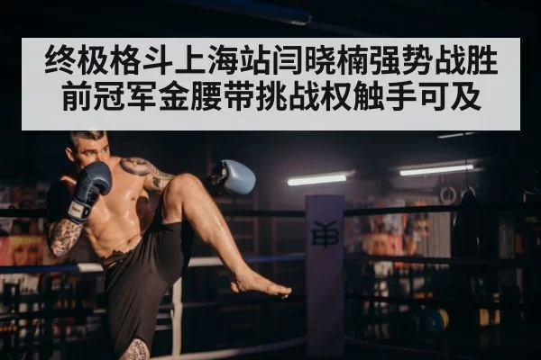 MMA fighter punching